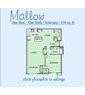 Mallow