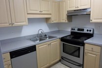 Upgraded 2x1 kitchen