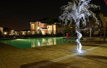 Photo of Legacy at Hibiscus Park Apartments